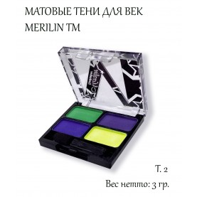 03D ТОН 02 4х-цветные МАТОВЫЕ *салатовый/темно-фиолетовый/фиолетовый/желтый неон* тени для век 3 гр.(6 шт/зип/ пупыра)